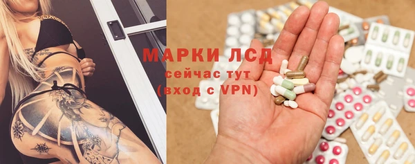 индика Алзамай
