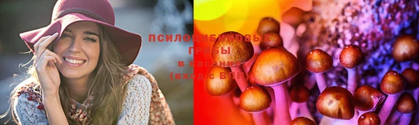 скорость Алексин