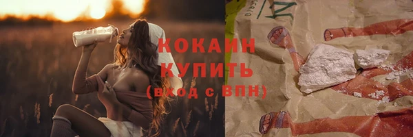 индика Алзамай