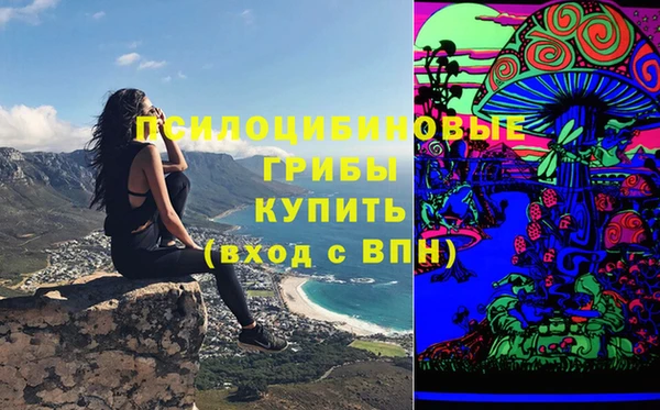 индика Алзамай